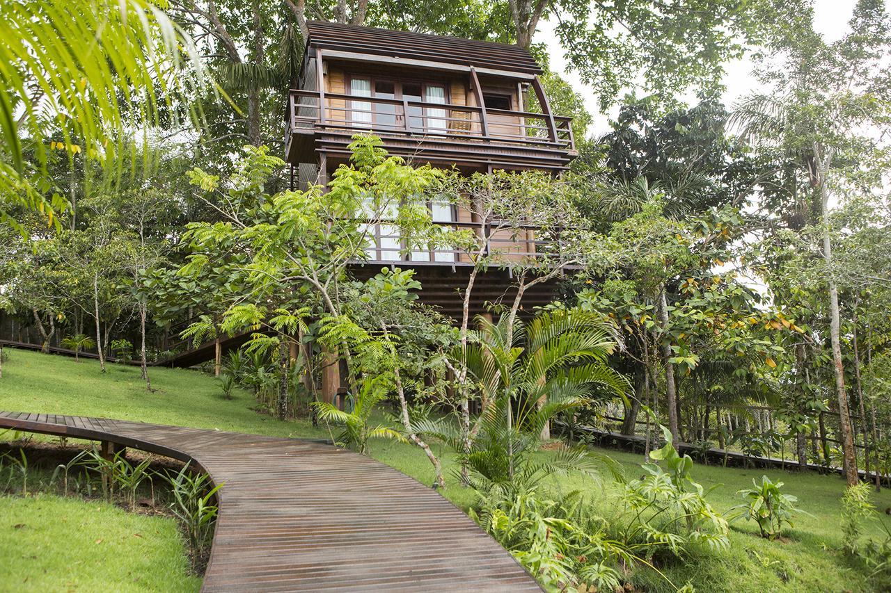 Mirante Do Gaviao Amazon Lodge Novo Airao Ngoại thất bức ảnh